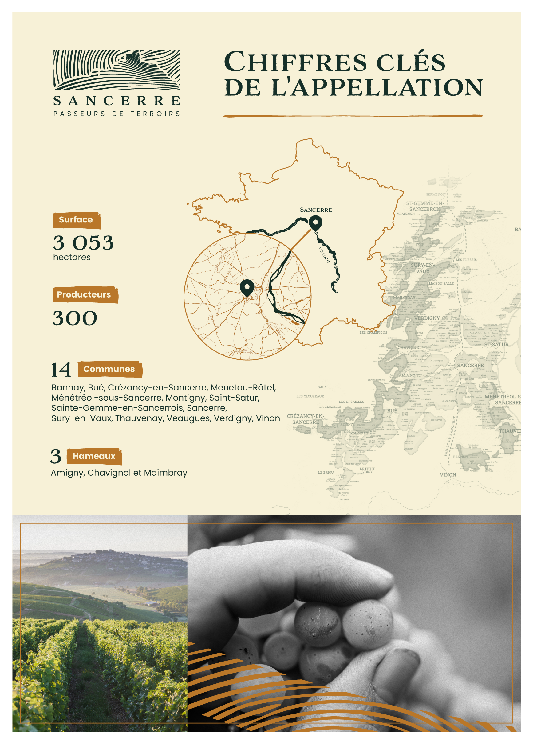 Chiffres clefs de l'appellation Sancerre